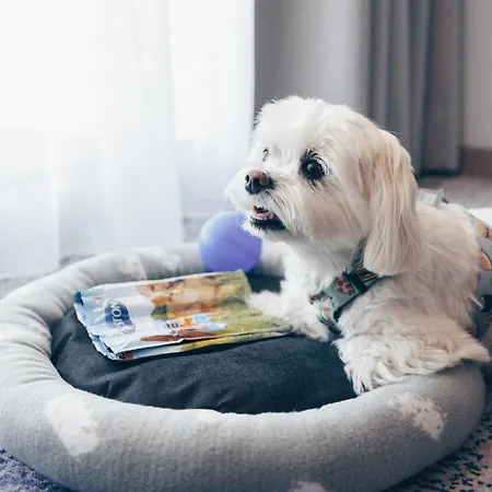 호텔 Unitral W Mielnie 미엘노