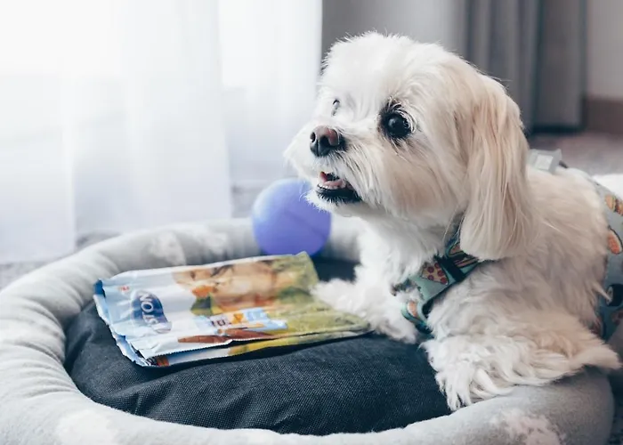 Hotel Unitral W Mielnie Mielno (Koszalin)